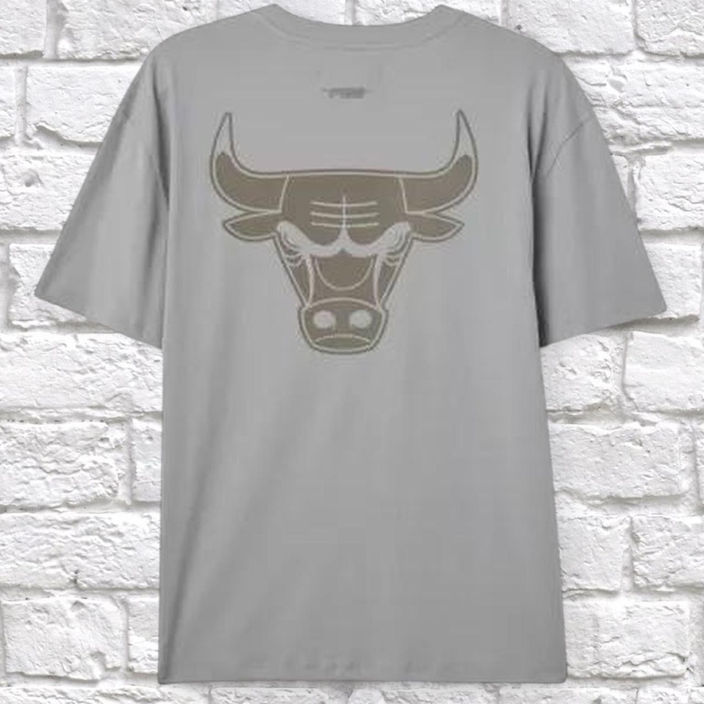 Pro Standard x UO Exclusive Chicago Bulls NBA Tee
